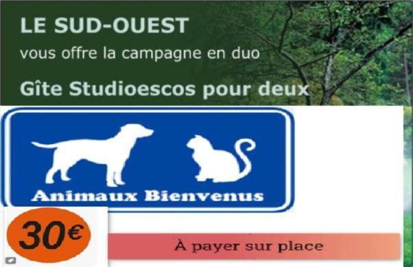 Gites Studioescos El Dos Extérieur photo